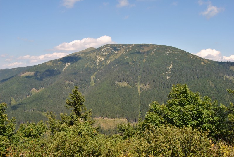 pepajs.cz